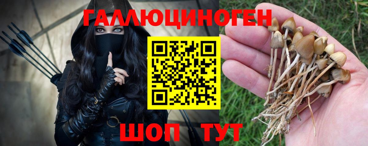 где найти наркотики  Псилоцибиновые грибы мухоморы  Ростов Великий  Вход с VPN  Псилоцибиновые грибы GOLDEN TEACHER 