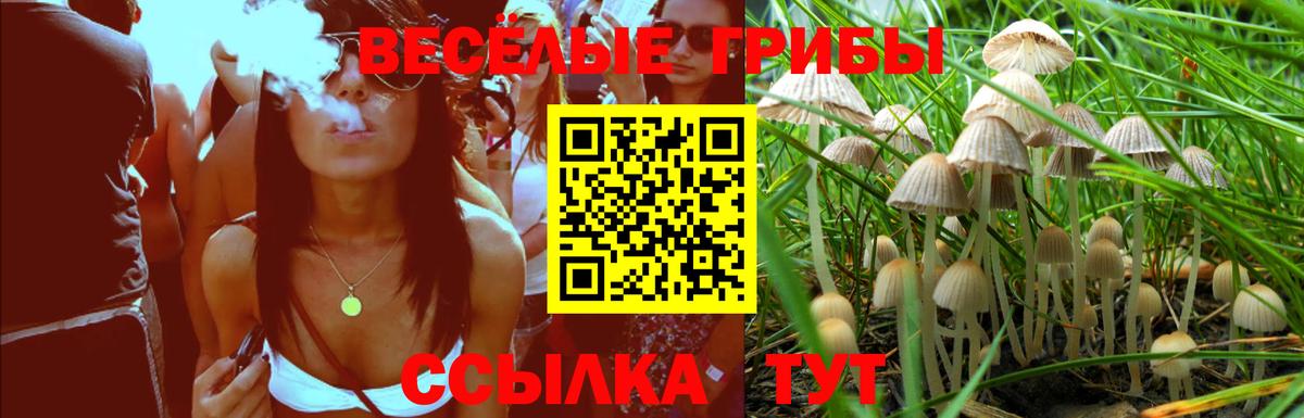 Галлюциногенные грибы GOLDEN TEACHER Ростов Великий